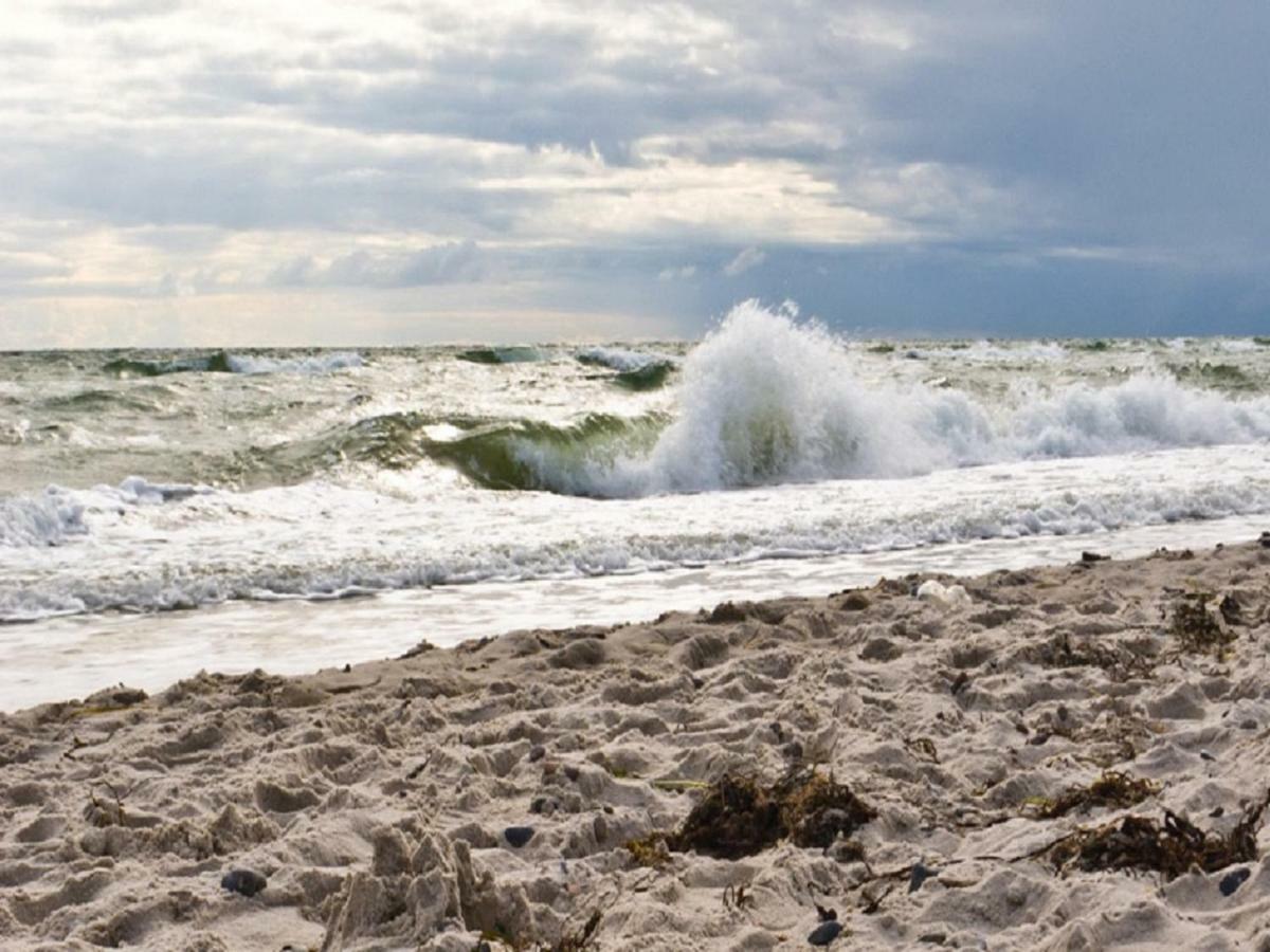 Willa Tu Hus In Linde Eck Zingst Zewnętrze zdjęcie